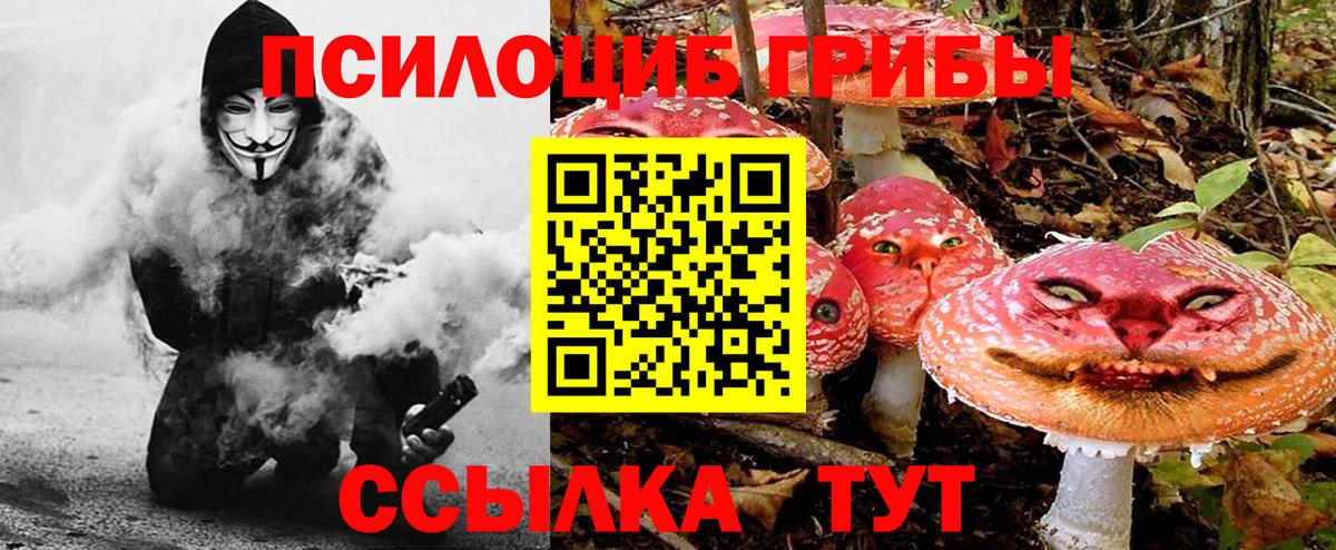 Псилоцибиновые грибы Psilocybine cubensis  Галлюциногенные грибы Psilocybine cubensis  Вход с VPN  Калининград 